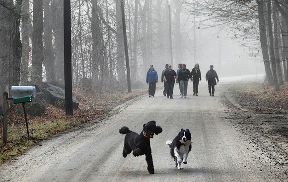 Walking the dogs