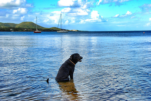Vieques, PR