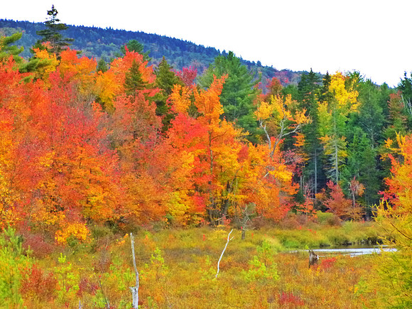 Gridley River, New Ipswich, NH