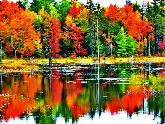 Island Pond, Rindge, NH