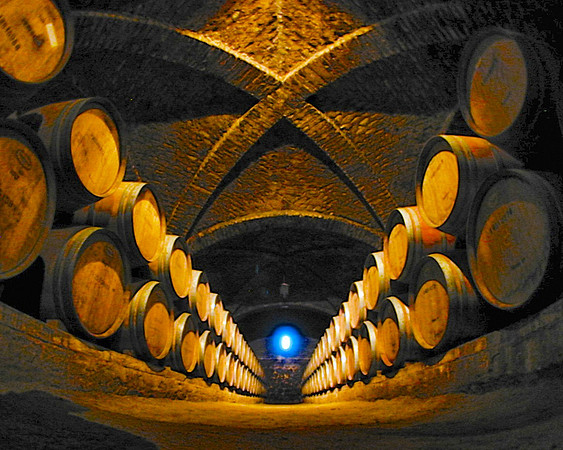 Santa Rita Winery, Maipo Valley, Chile