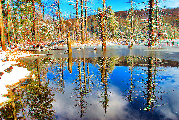 Early snow at beaver pond