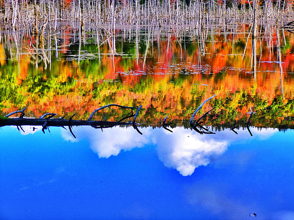 Beaver Pond in Fall