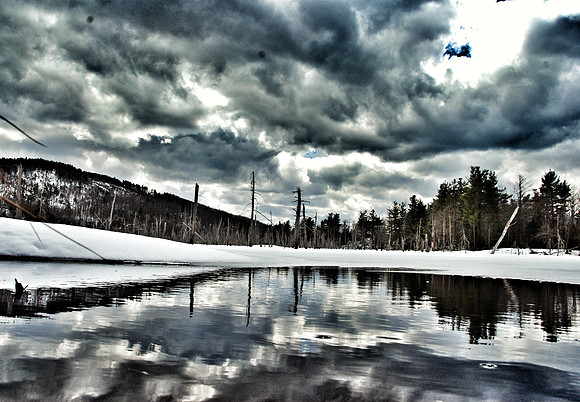 Beaver Pond