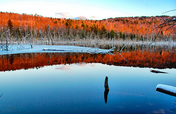 Beaver Pond in Fall