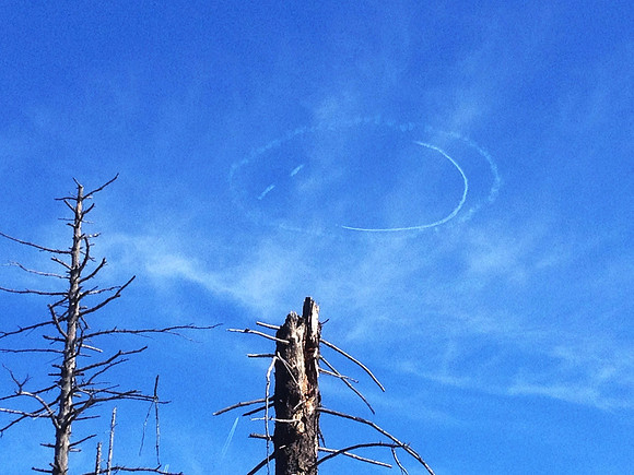 Friendly Sky