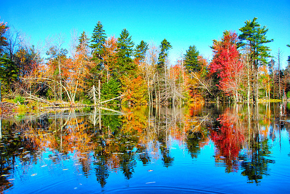 Fall foliage reflection on Beaver Pond