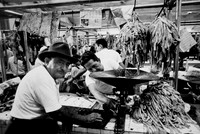 Market, Merida Mexico