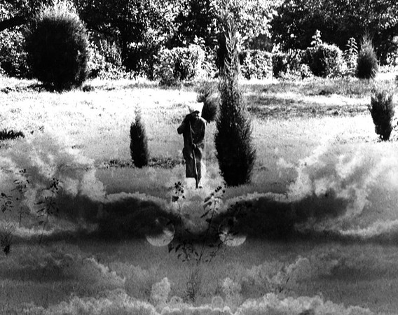 Cloud Gardener, 1972