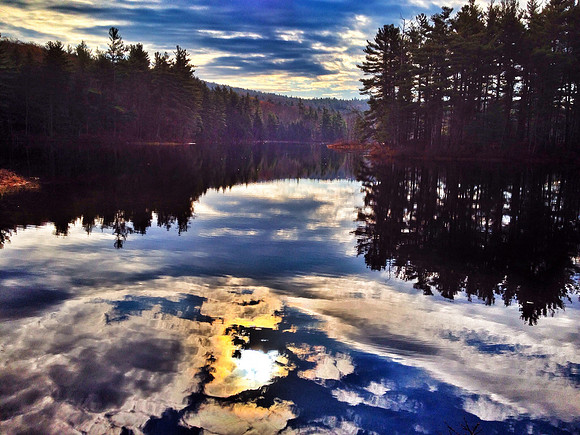 Island Pond