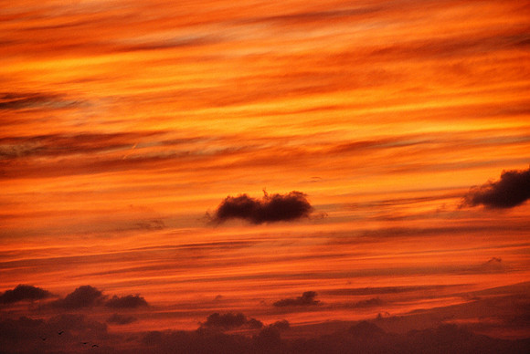 Red Sunset