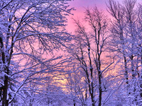 snowy sunset