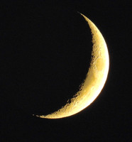 quarter moon