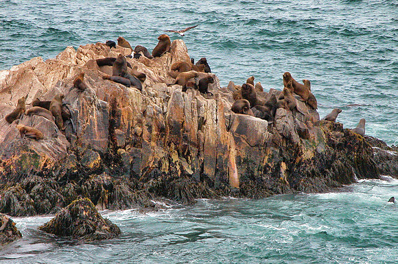 Pacific Ocean, Valparaiso, Chile